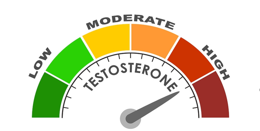 Testosterone gauge.